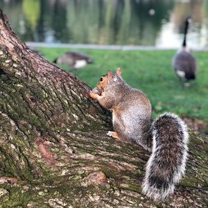 Meet your Posher, Lei